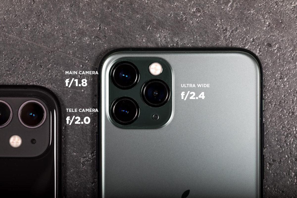 From blood sugar control to weight loss, learn about the benefits of black turmeric