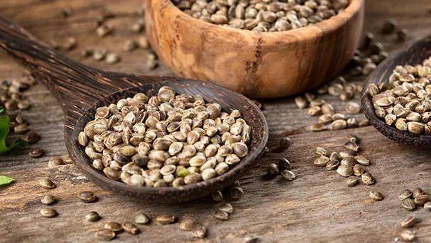 Hemp Seeds Benefits: From weight loss to healthy digestion, hemp seed oil has many benefits