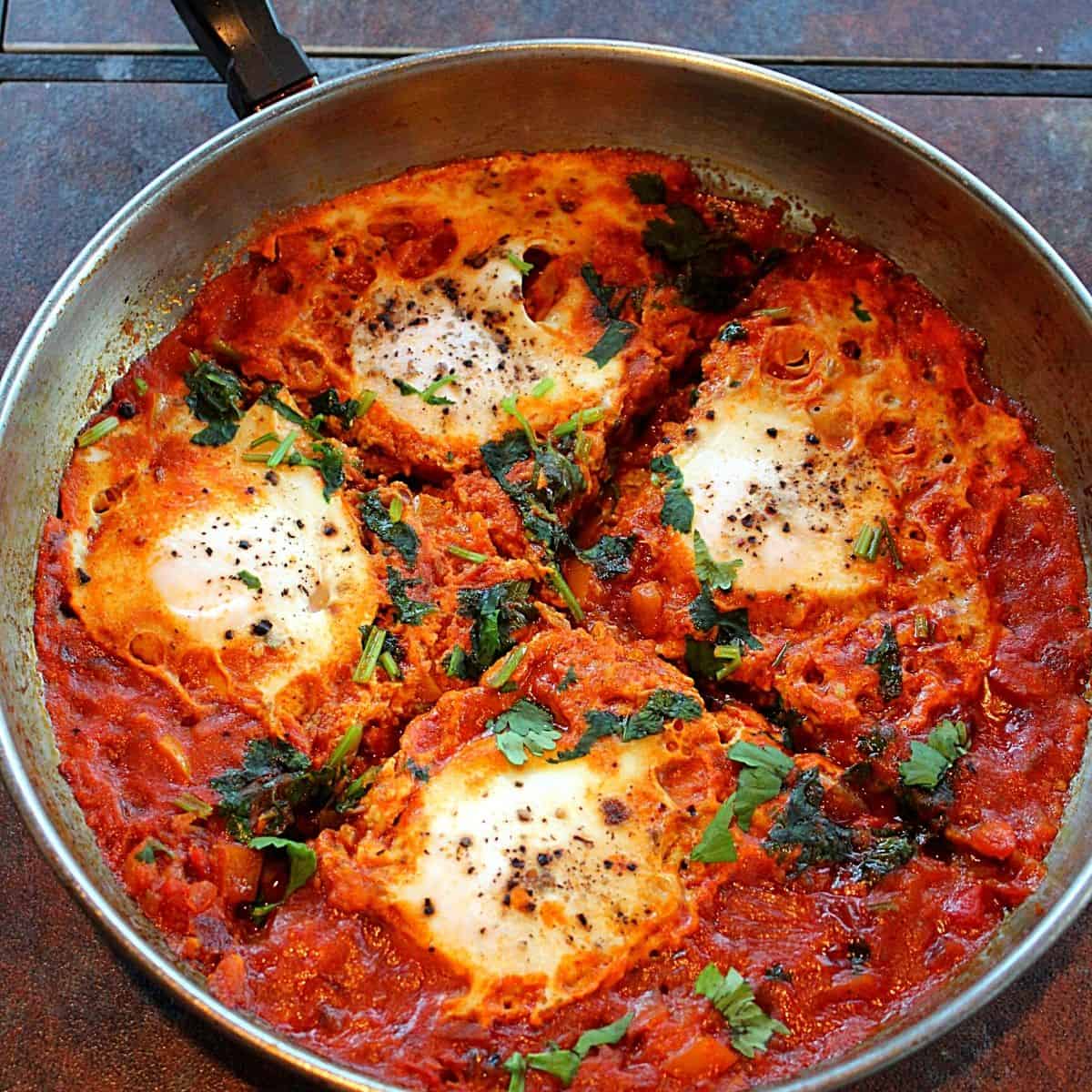 Tired of the usual onion omelette, then try the delicious tomato omelette