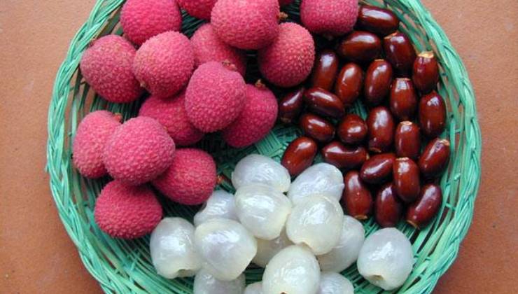 Its seeds are more beneficial than juicy litchi, you will be amazed to know the benefits