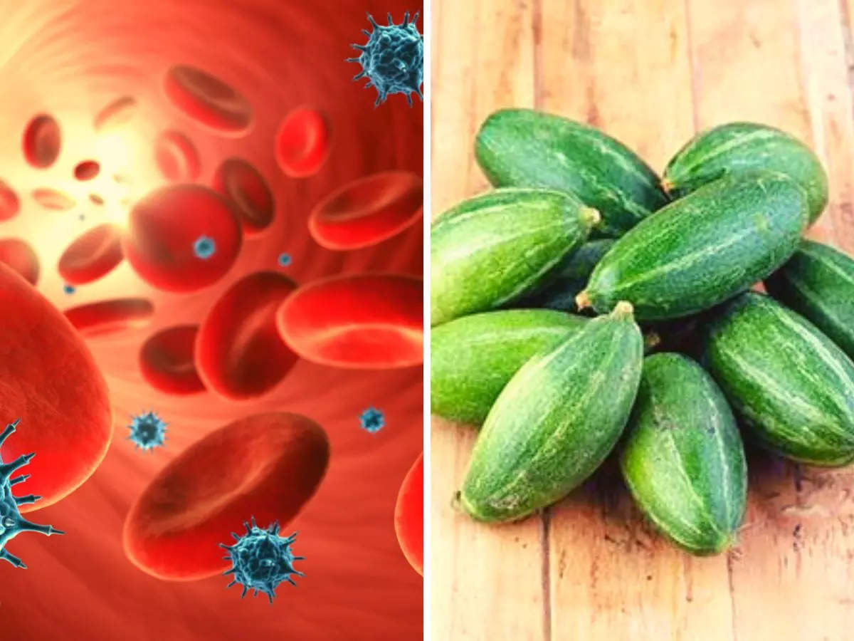 Parval is a vegetable that purifies the blood, but know these disadvantages of eating it