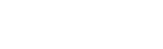 The Squirrel