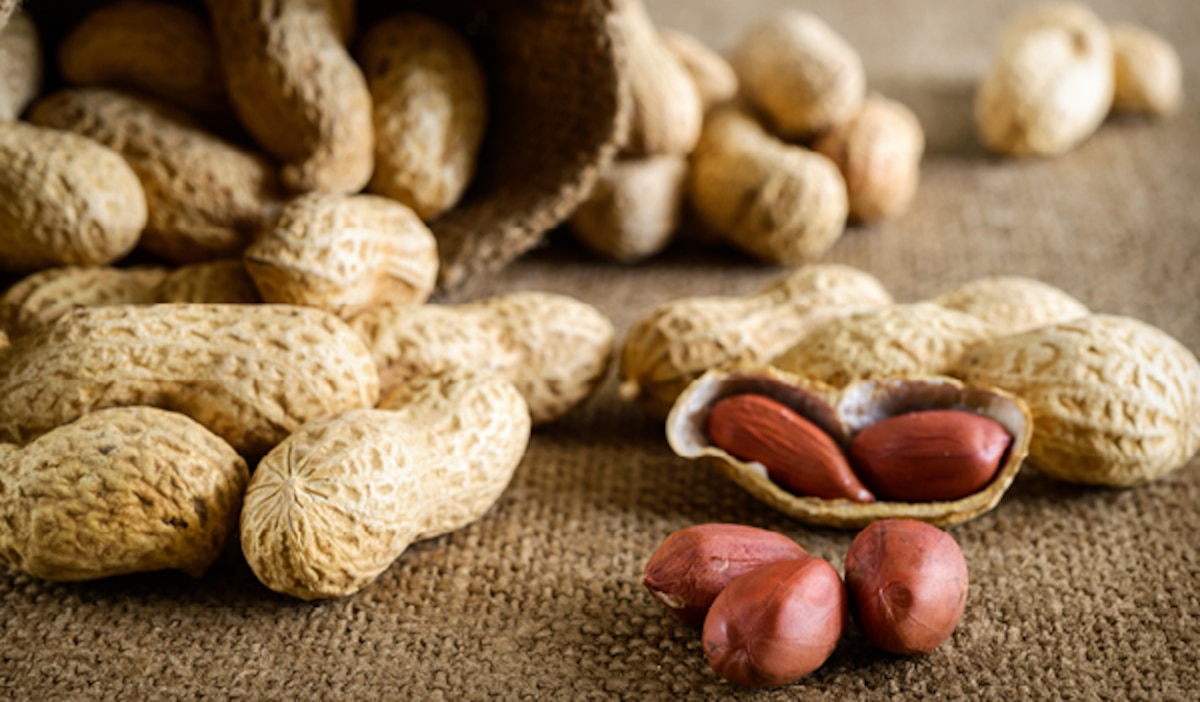 From weight loss to diabetes, these are amazing benefits of eating peanuts in winter.