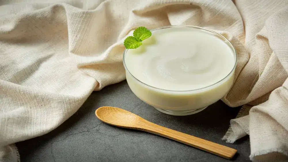 Can curd be eaten even in winter? Find out what the experts say
