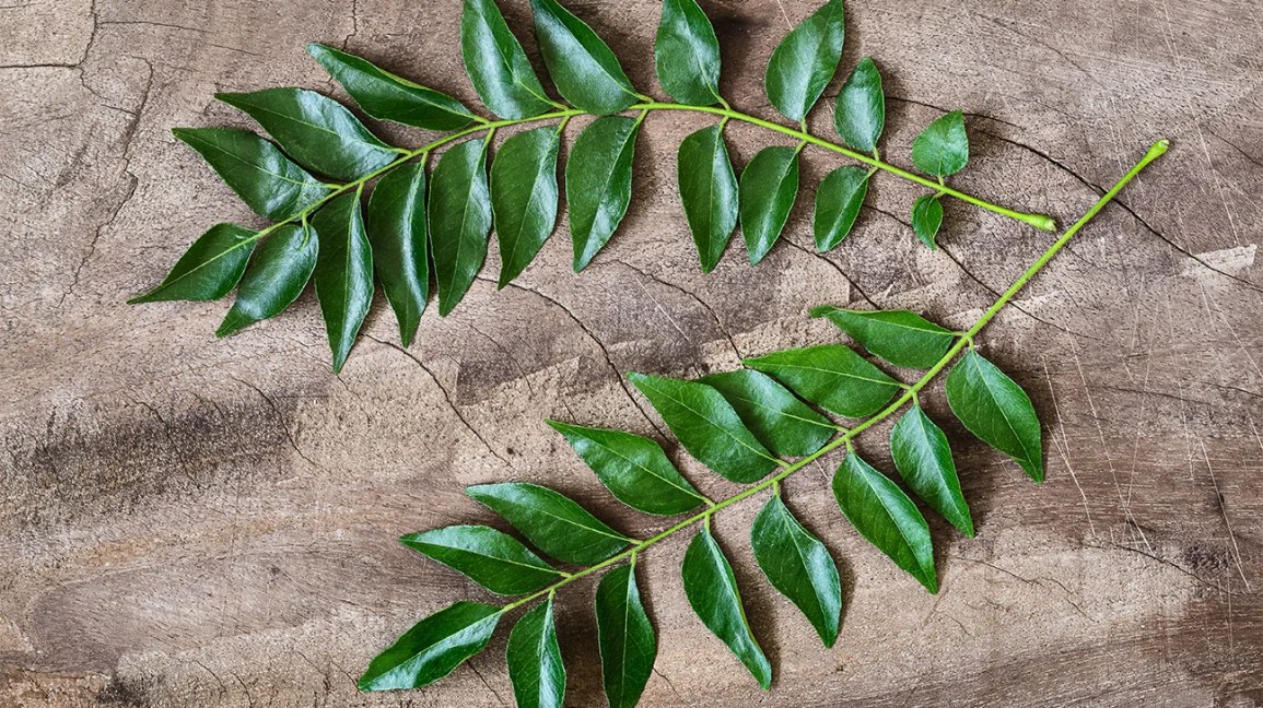 Is it okay to eat curry leaves daily? Know its benefits and the right amount to eat it