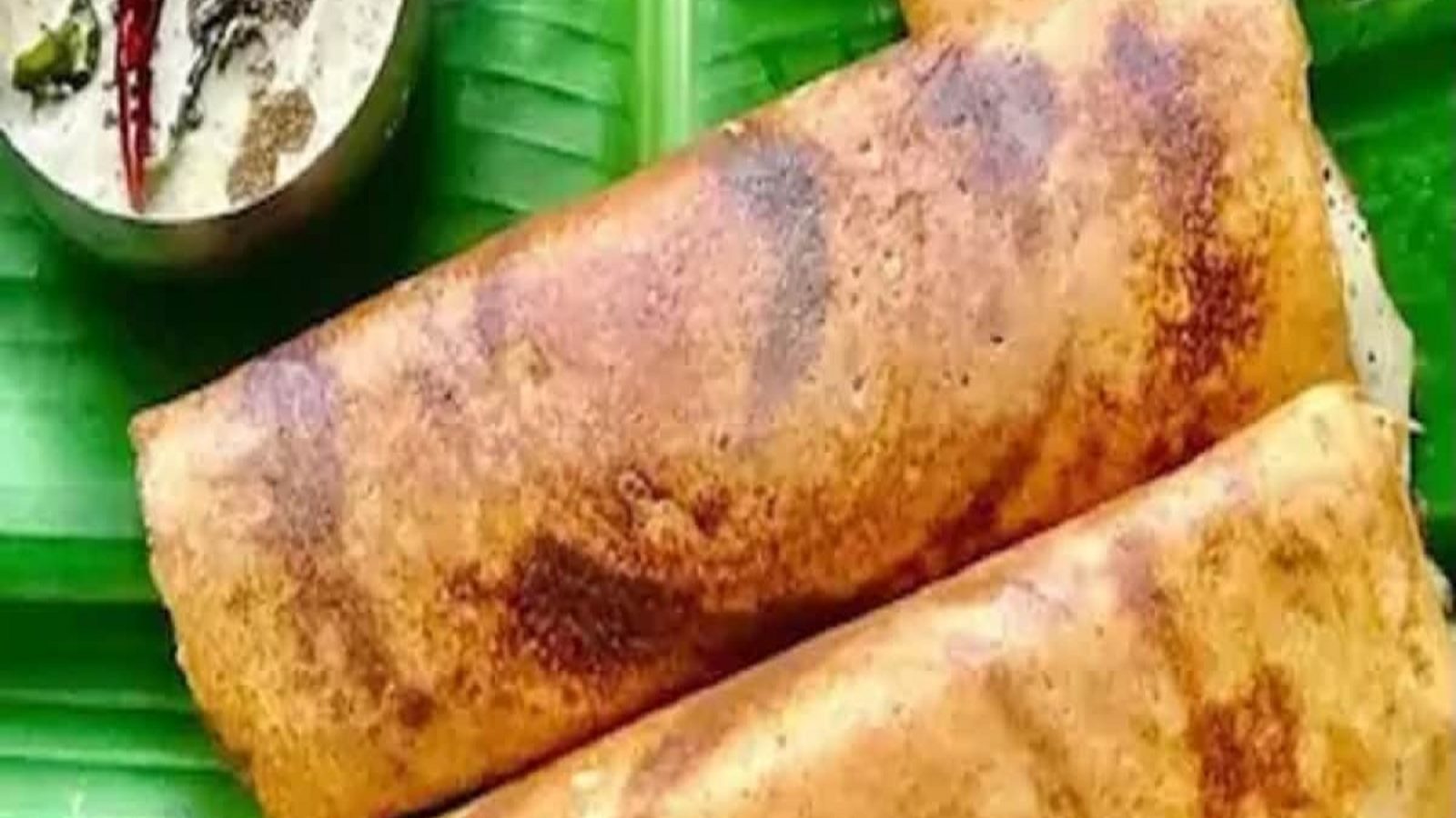 If you see milk spoils your mouth, children, feed you milky dosa, note down the recipe soon.