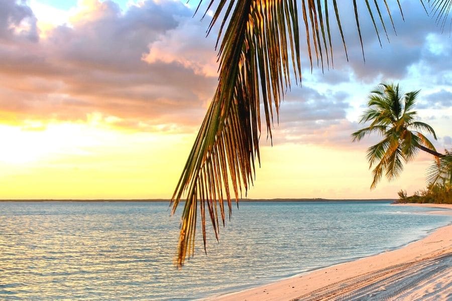 If you want to go on a trip to Lakshadweep with your family, avoid going to this beach, otherwise you will be put to shame.