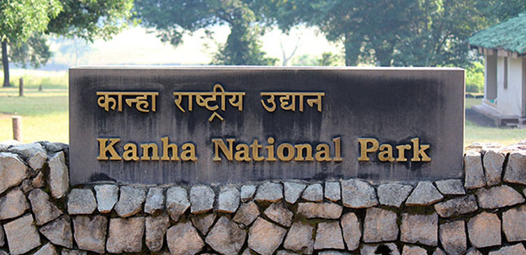 For nature lovers, these wildlife sanctuaries are very nice, you will get a lot of fun
