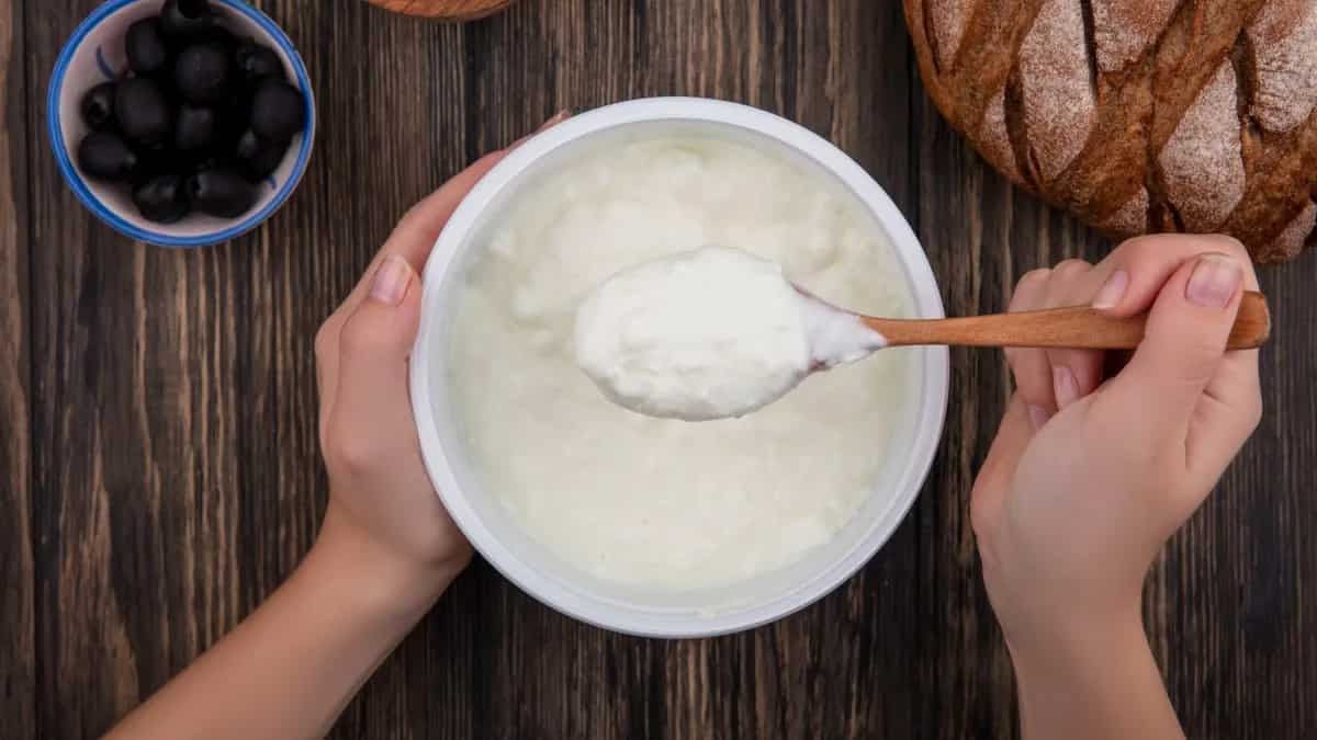 Curd takes time to freeze in winter, so use this trick to freeze it quickly