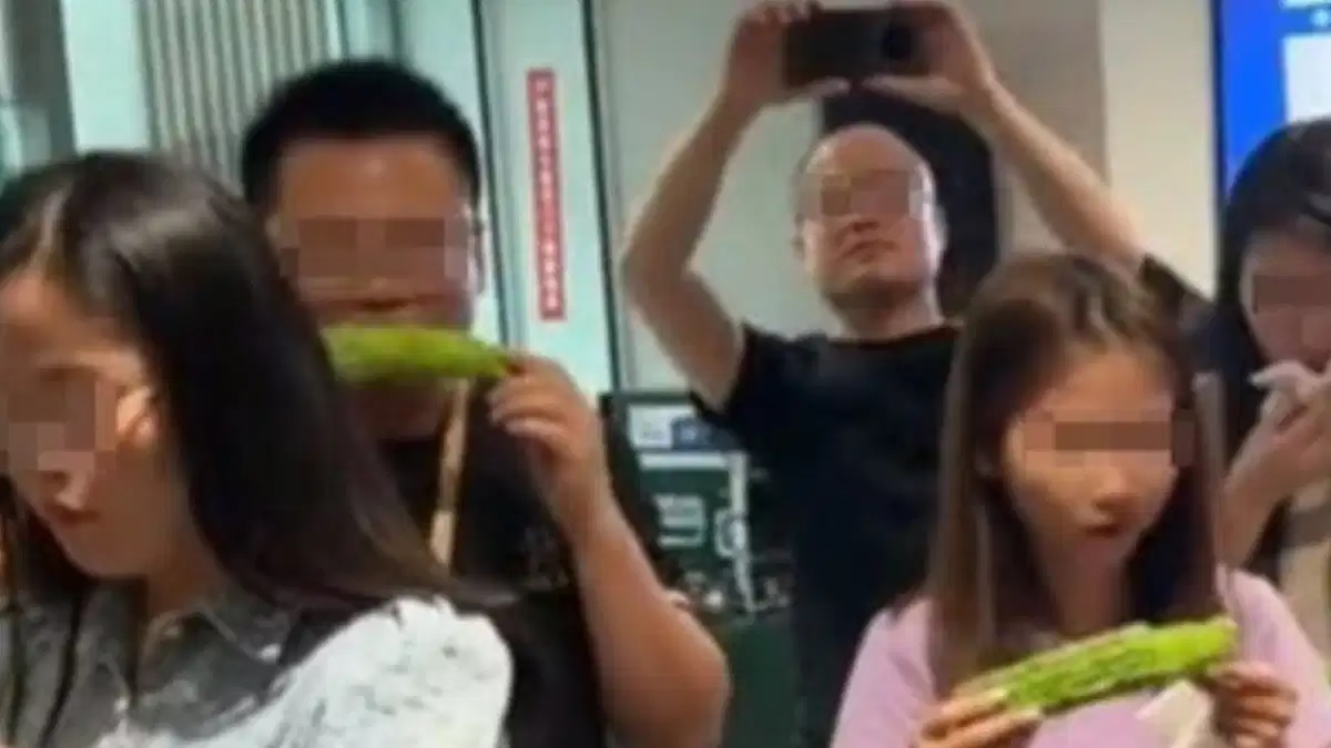 The boss gave his employees such a strange punishment, fed this thing for not meeting the target